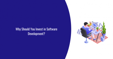 Why Should You Invest in Software Development?