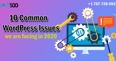 Top 10 Common WordPress Issues