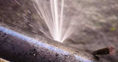 10 Things to Do When You Have a Burst Pipe