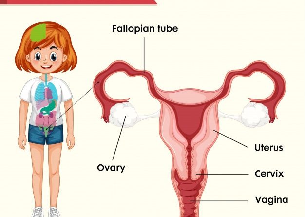 Treatment For Endometriosis