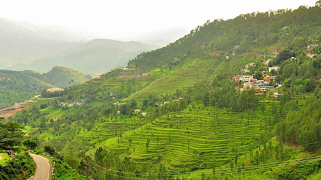 Almora
