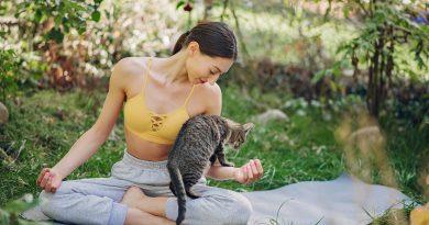 5 Uncommon Hobbies that Help You Bond with Your Cat-min-1