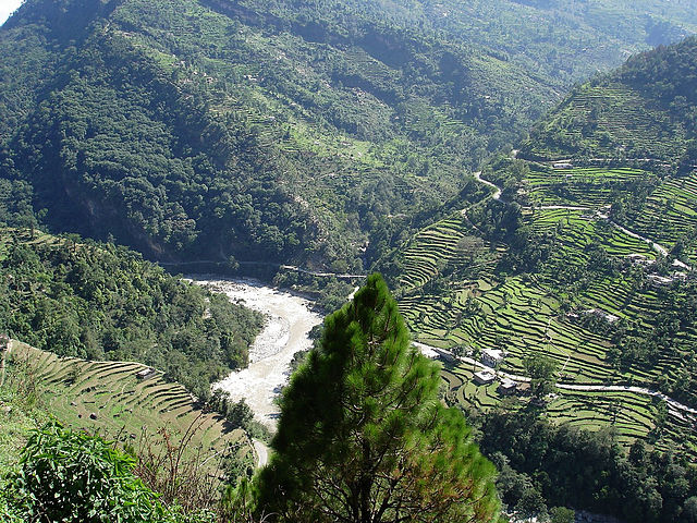 Chopta uniqw Best Hill Stations in Uttarakhand