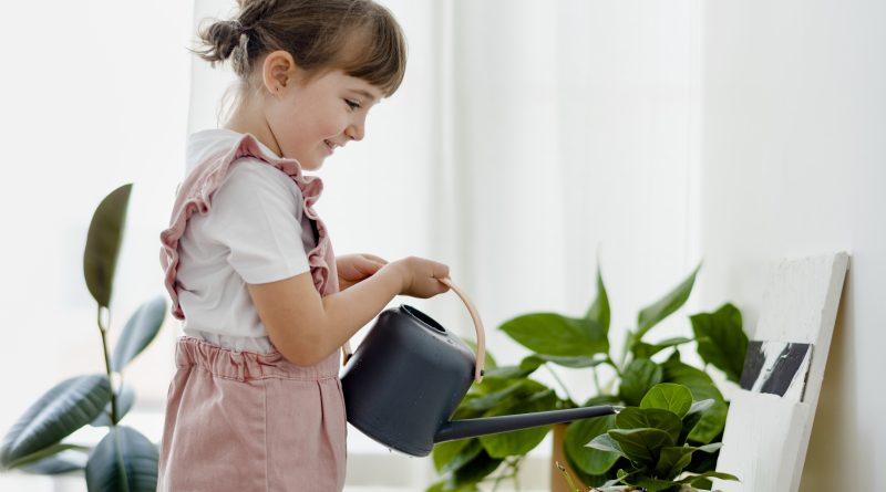 8 Unexpected Benefits of Having Indoor Plants-min