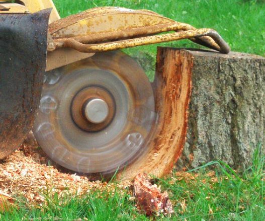 Professional Stump Grinding