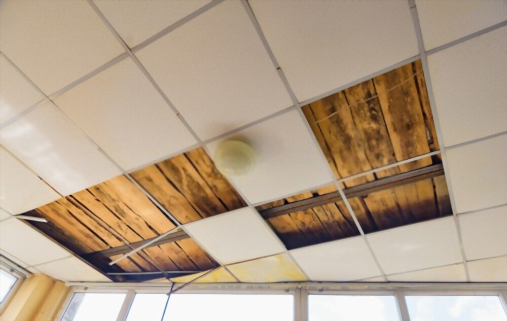 Acoustic Ceilings