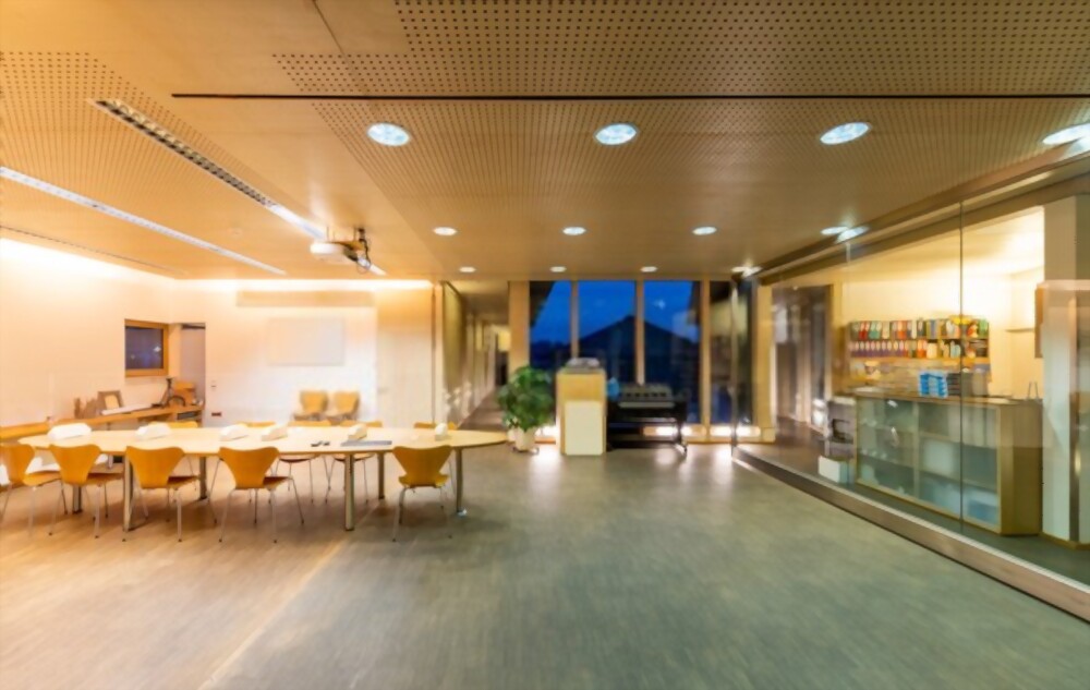 Acoustic Ceilings