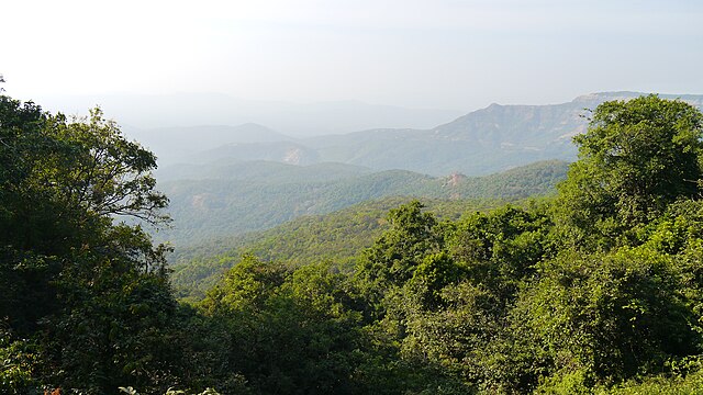 Amboli