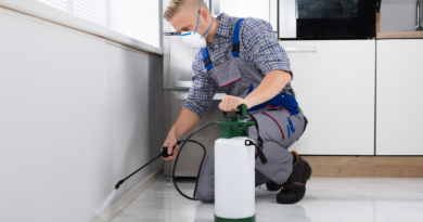 Highly Effective Pest Control Services in California to Protect Houses