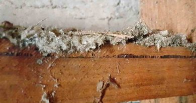 Asbestos Insulation