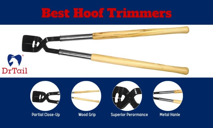 4 Best Hoof Trimmers For Safe and Easy Animal Grooming