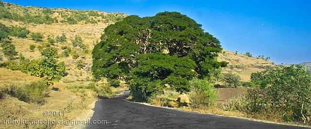 Bhimashankar is best weekend getaways from Pune