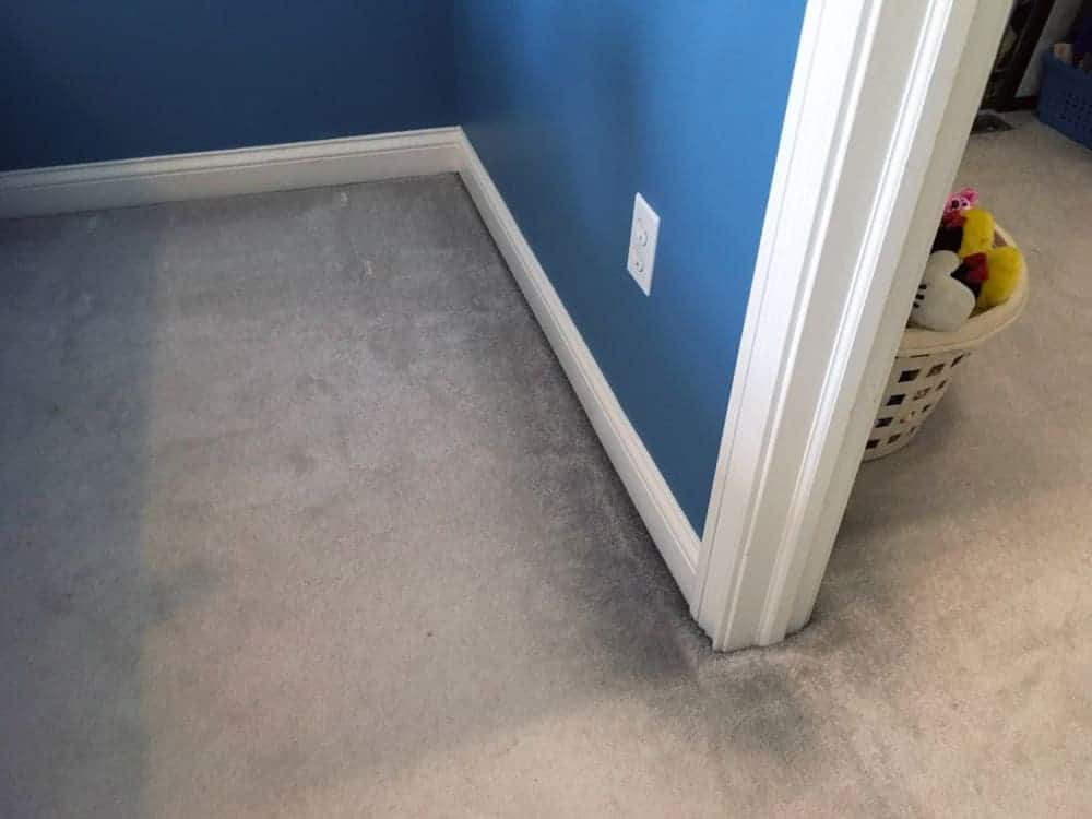 Black Lines - Carpet Cleaning Springfield