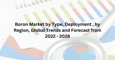 Boron Market by Type, Deployment , by Region, Global Trends and Forecast from 2022 - 2028