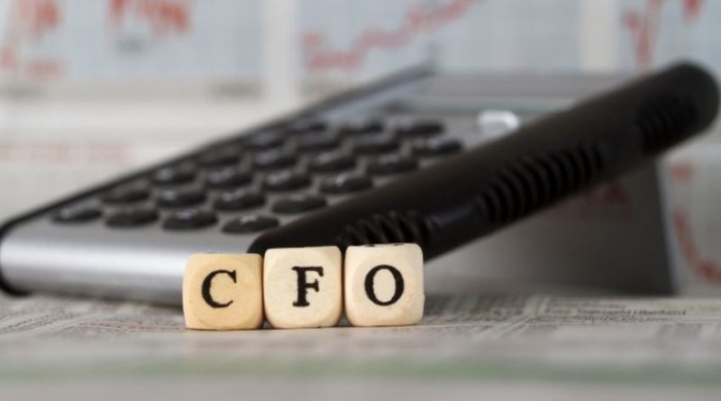 CFO Consultant