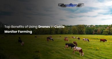drone-cattle-monitor-farming