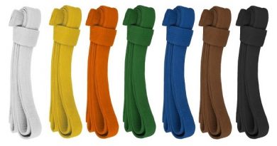 Coloured Belts in Martial Arts