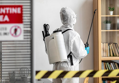 Shire Pest Control expert providing pest removal services in Your home