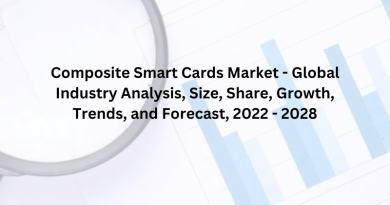 Composite Smart Cards Market - Global Industry Analysis, Size, Share, Growth, Trends, and Forecast, 2022 - 2028