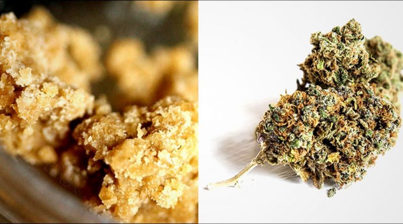 Concentrates_Vs_Flower_heronew