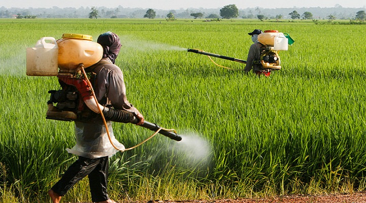 Crop-Protection-Market-Research-Report