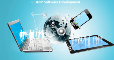 Custom Software Development Service