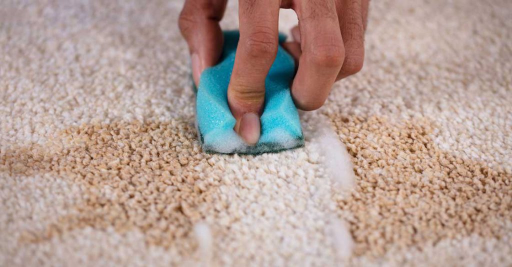 Carpet Cleaning Botany - Light Stains Removal