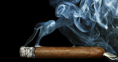 A Brief History of the Cigar Industry