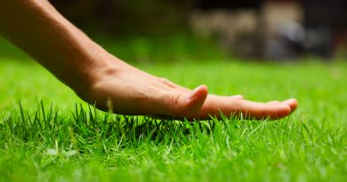 5 Tips for Starting a Commercial Lawn Care Business