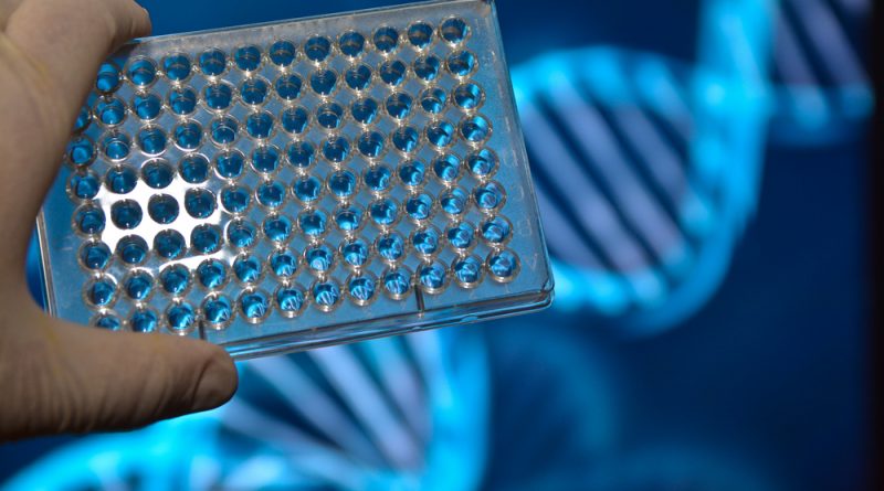 5 Quick Facts to Know About DNA Testing