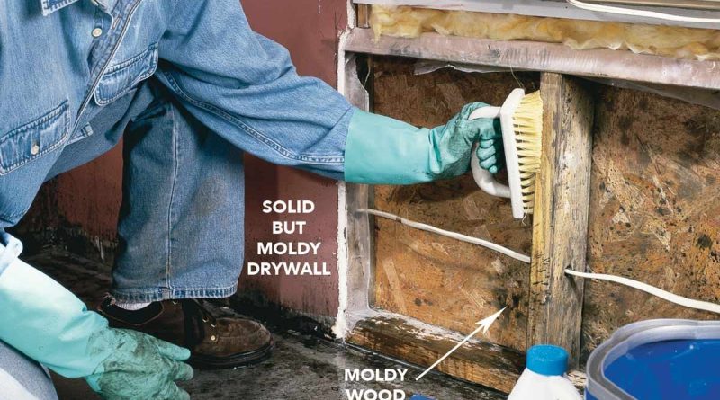 Practical Solutions for Dealing With Water Damage and Black Mold
