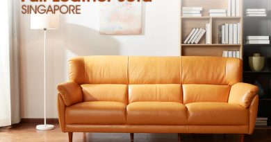 full leather sofa Singapore