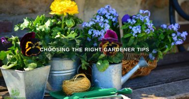 Choosing the Right Gardener Tips