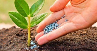 Global-Agricultural-Micronutrients-Market