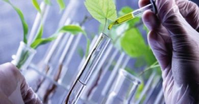 Global Bio Renewable Chemicals Market