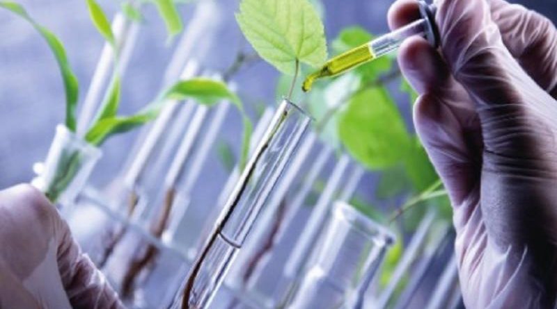 Global Bio Renewable Chemicals Market