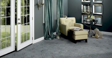 Gray Carpet