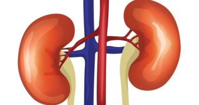 Homeopathy Treatment for Kidney Failure