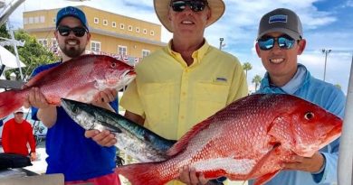 Pensacola Fishing Charters