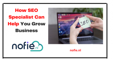 How SEO Specialist Can Help You Grow Business - nofie.nl