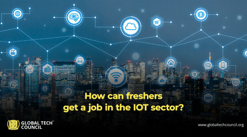 How can freshers get a job in the IOT sector