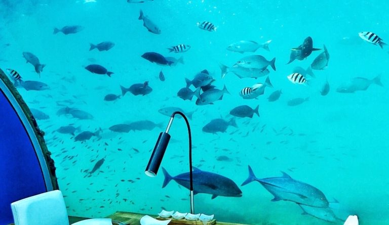 underwater Maldives restaurants