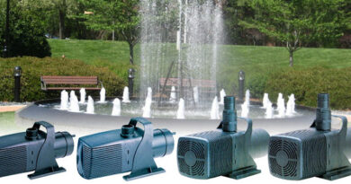 Looking for Fountain Pumps Online