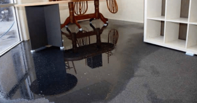 carpet water damage clean up