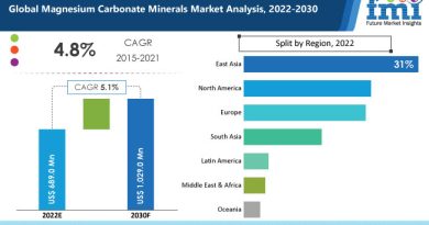 Magnesium Carbonate Minerals Market