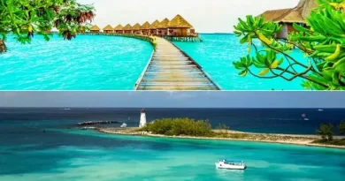 Bahamas and Maldives