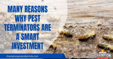 termite pest control near me