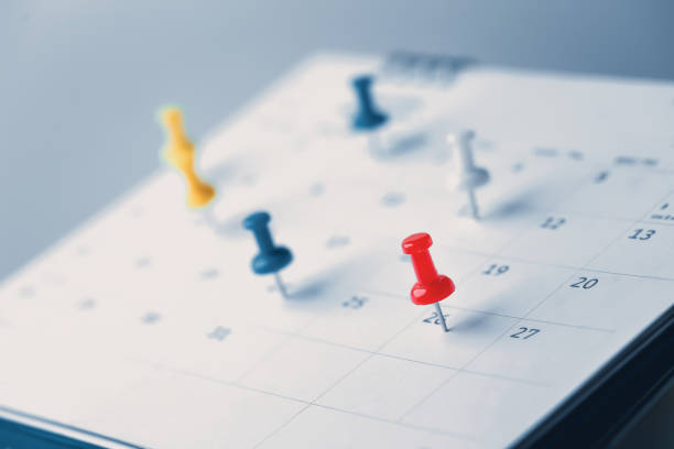 Dominate Your Month: The Ultimate Planner for Peak Performance