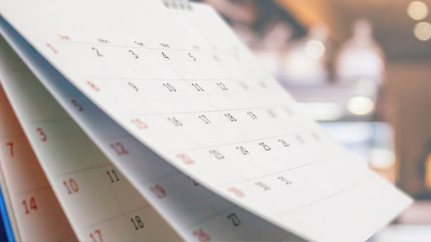 Unlock Your Potential: A Monthly Planner That Keeps You Organized & Drives Your Goals Forward