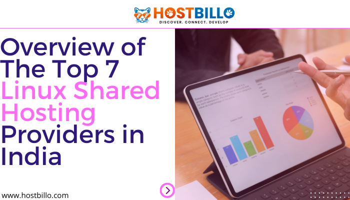 Overview of The Top 7 Linux Shared Hosting Providers in India